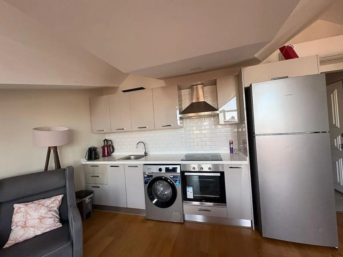 Wonder Homes - Cozy Penthouse, Terrace, Taksim Mete 16 Istanbul Turkey