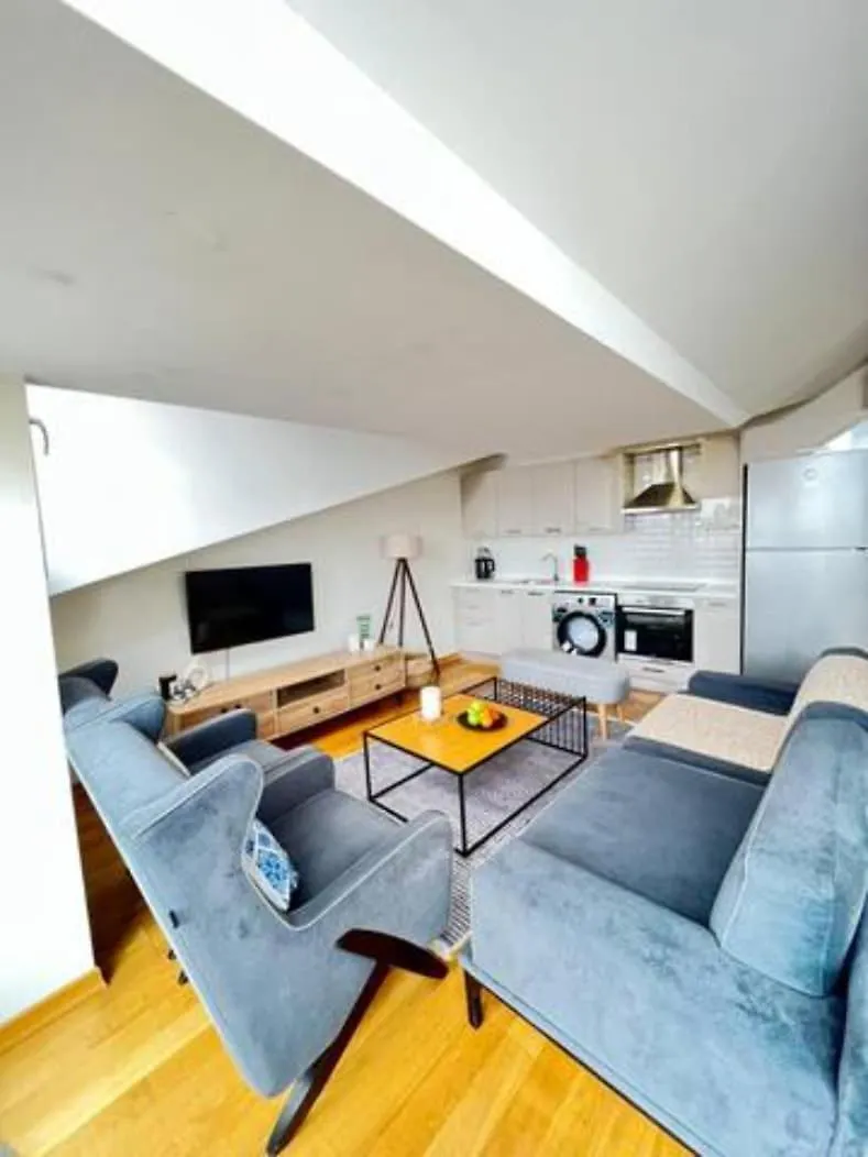 Διαμέρισμα Wonder Homes - Cozy Penthouse, Terrace, Taksim Mete 16 Κωνσταντινούπολη Τουρκία